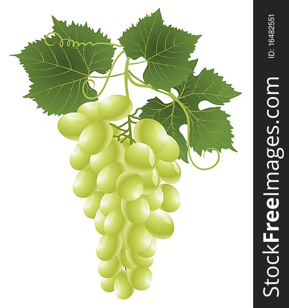 White grape and green leaves