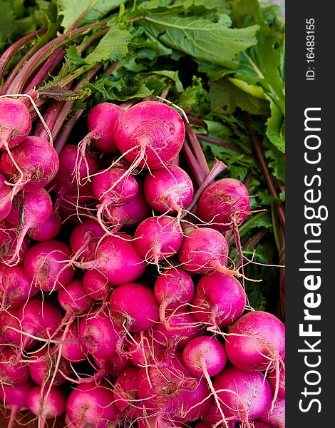 Crimson turnips for sale at a farmer's market