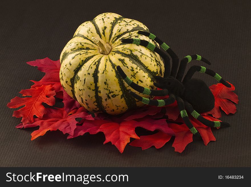 Green gourd and autumn orange red leaves with bright green and black spider. Green gourd and autumn orange red leaves with bright green and black spider