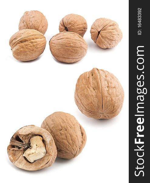 Circassian walnut isolated on the white background