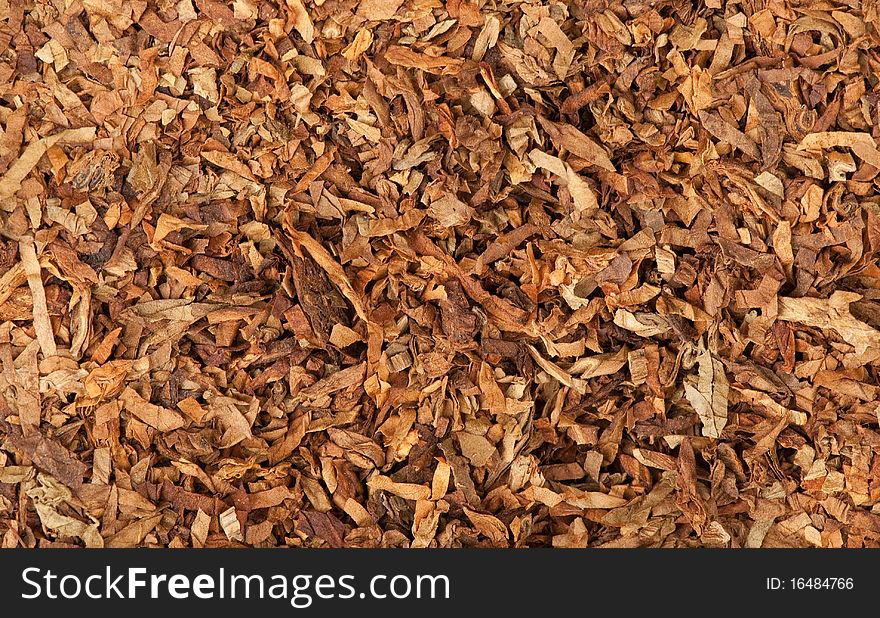 Cut dried leaves of tobacco as background