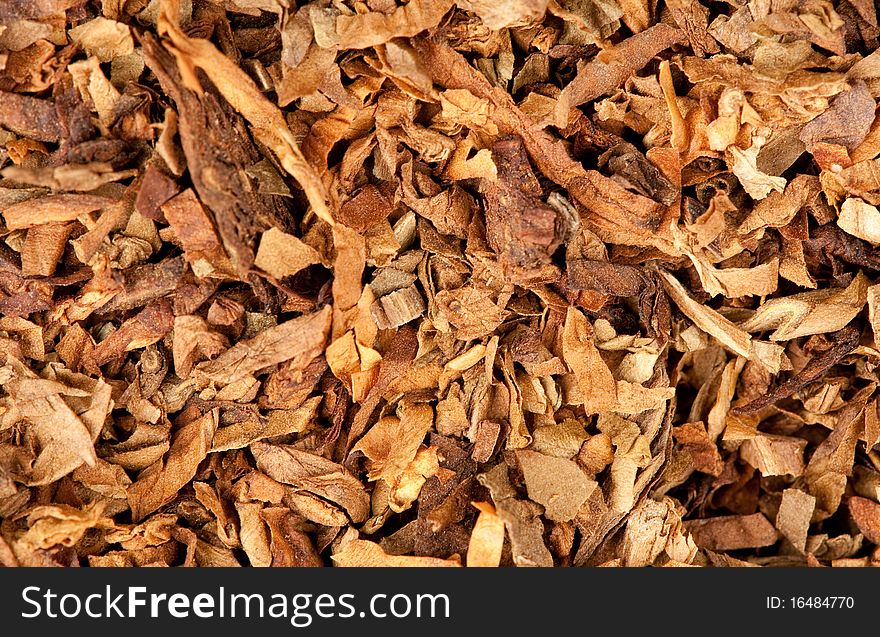 Cut dried leaves of tobacco closeup