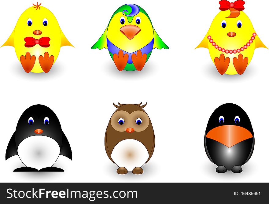 Several species of birds. Vector image.