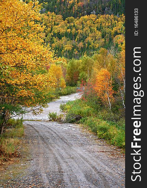 Dirt country road in Autumn