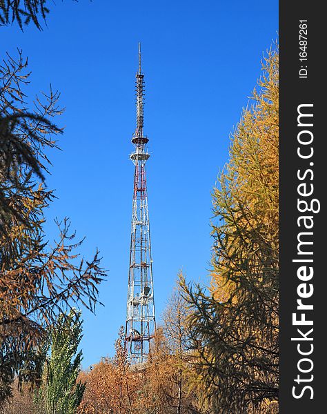 Outdated TV tower among the trees