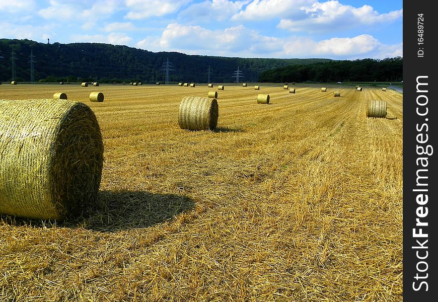 Image of a Bale of straw