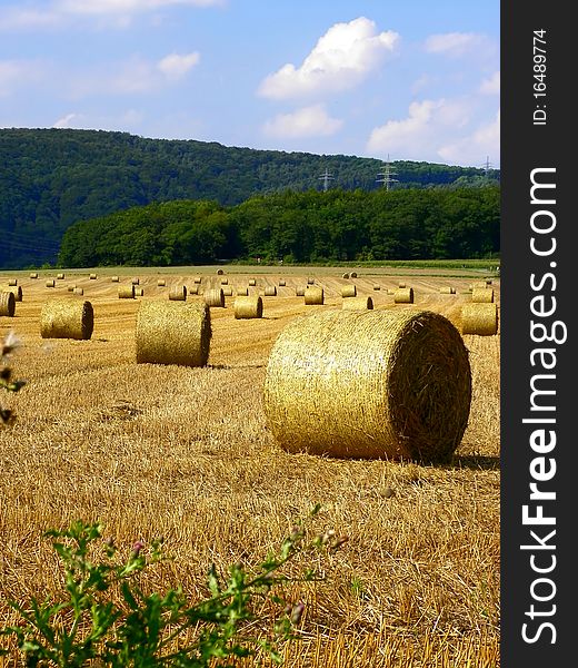 Image of a Bale of straw