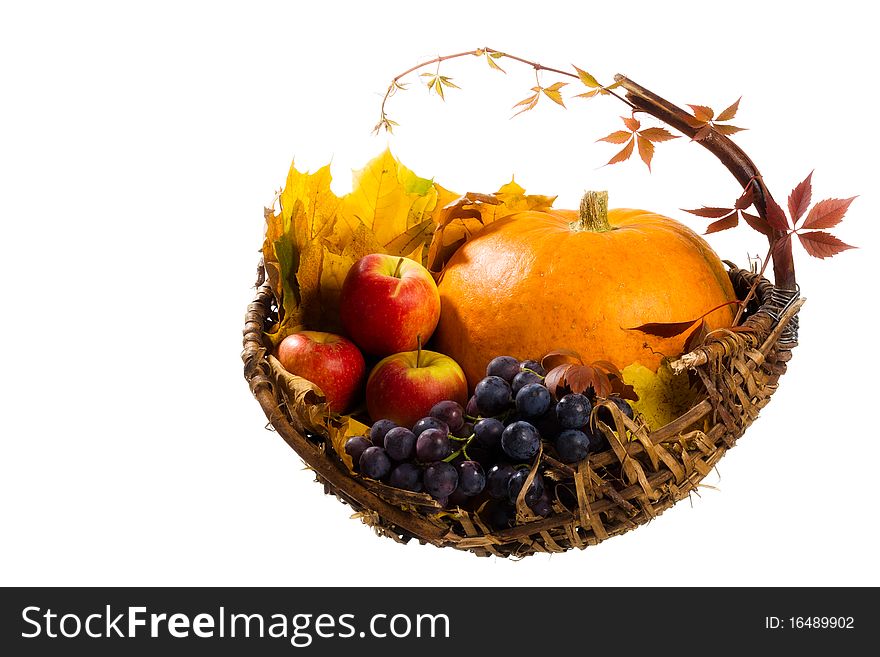 Autumn S Basket