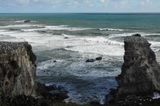 Sea Gull Royalty Free Stock Images