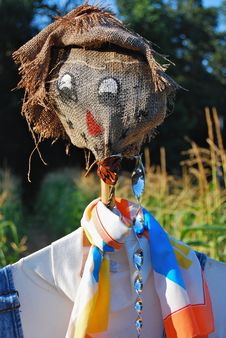 Scarecrow Guarding Cornfield Stock Images Scarecrow Guarding Cornfield Stock Images