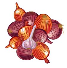 Onion And Garlic Stock Photo Onion And Garlic Stock Photo
