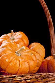 Pumpkins Stock Images Pumpkins Stock Images
