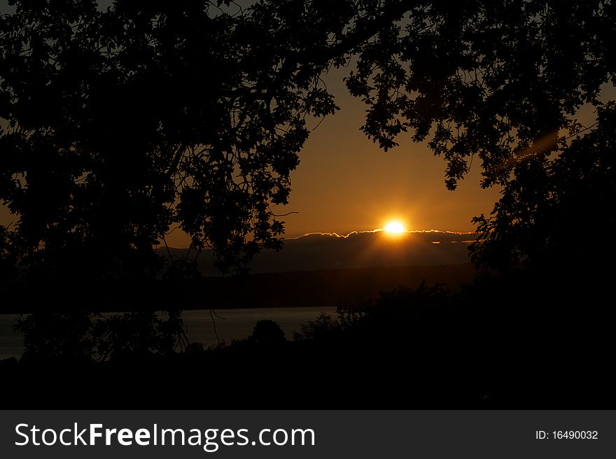 A sunrise over Lake Washington with tree branches creating a frame for the sun. A sunrise over Lake Washington with tree branches creating a frame for the sun