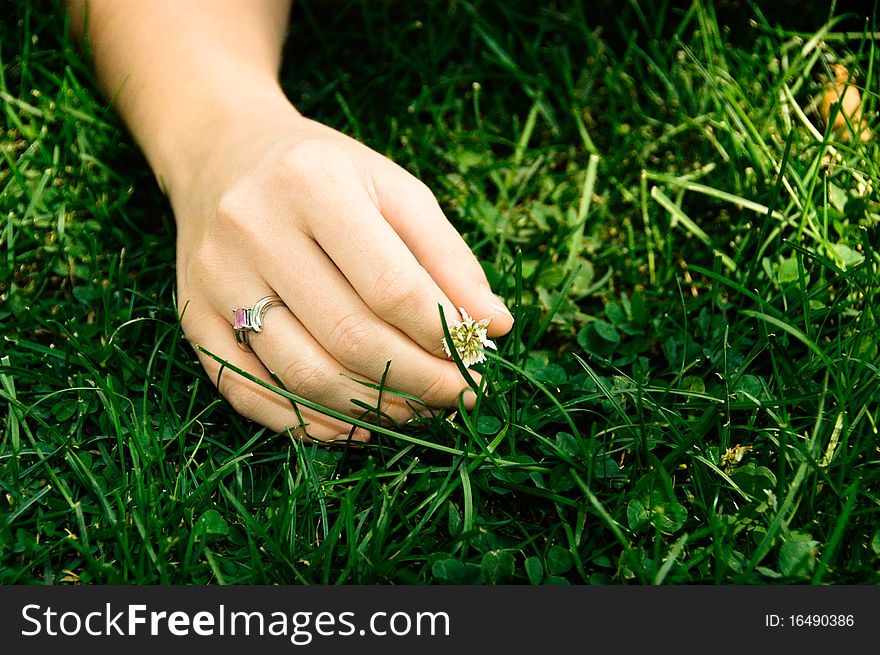 A persons hand in the green grass. A persons hand in the green grass