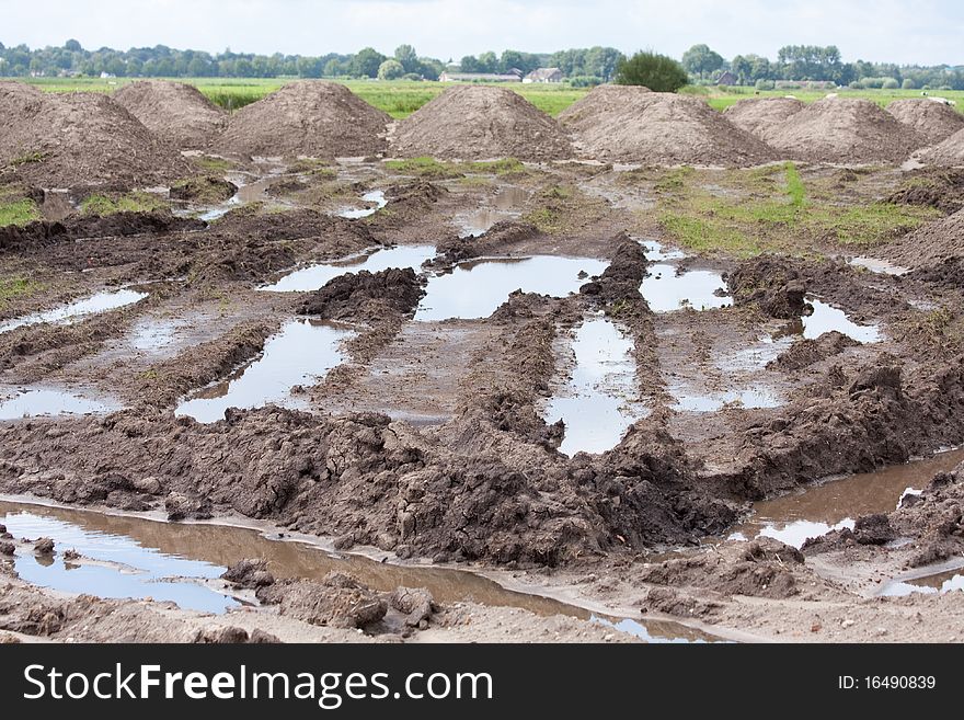 Flooded landscape in Holland on a summer day