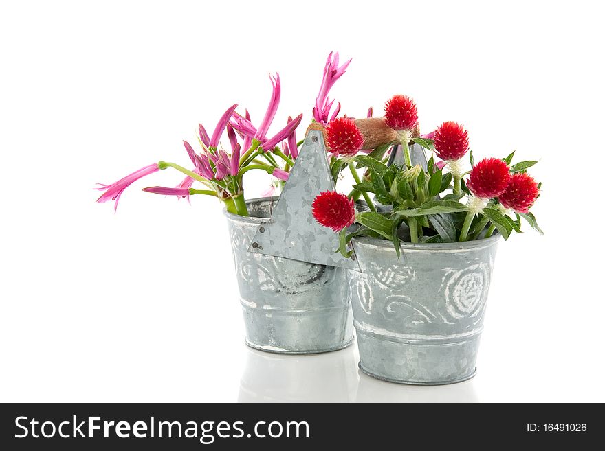 Colorful Dahlia flowers in decorated glass vases isolated on white background