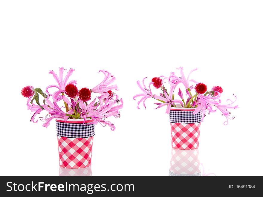 Little vases with pink and red flowers isolated white background