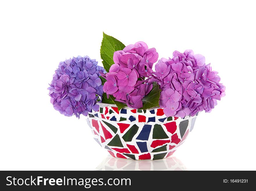 Colorful hydragena in a mosaic flowerpot isolated on white. Colorful hydragena in a mosaic flowerpot isolated on white