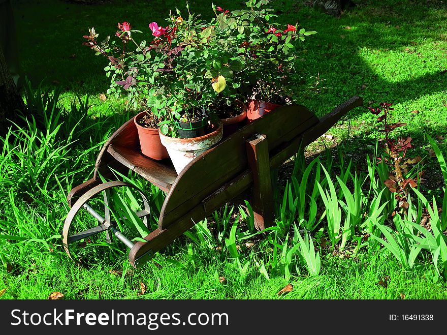 Planter obtained by inserting flower pots in an old wheelbarrow