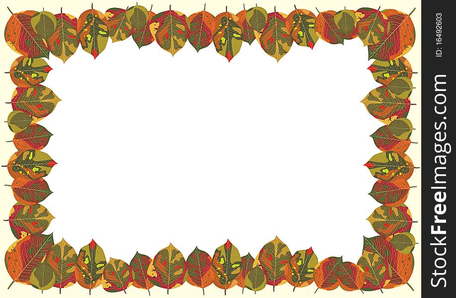 Design of card decorated with autumn leaves. Design of card decorated with autumn leaves