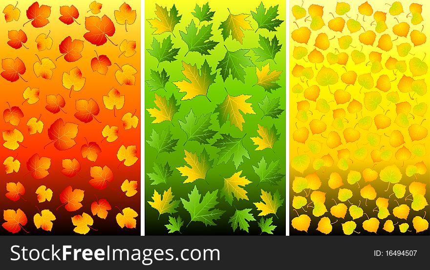 Set Of Backgrounds With Autumnal Leaves.