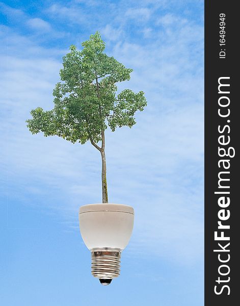 Tree growing from fluorescent lamp