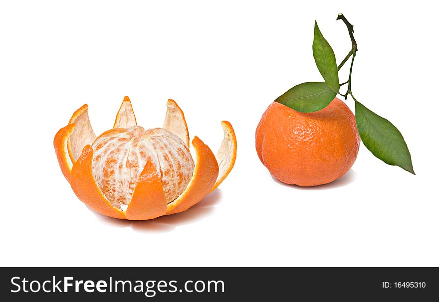 Close up of Tangerines isolated on white background