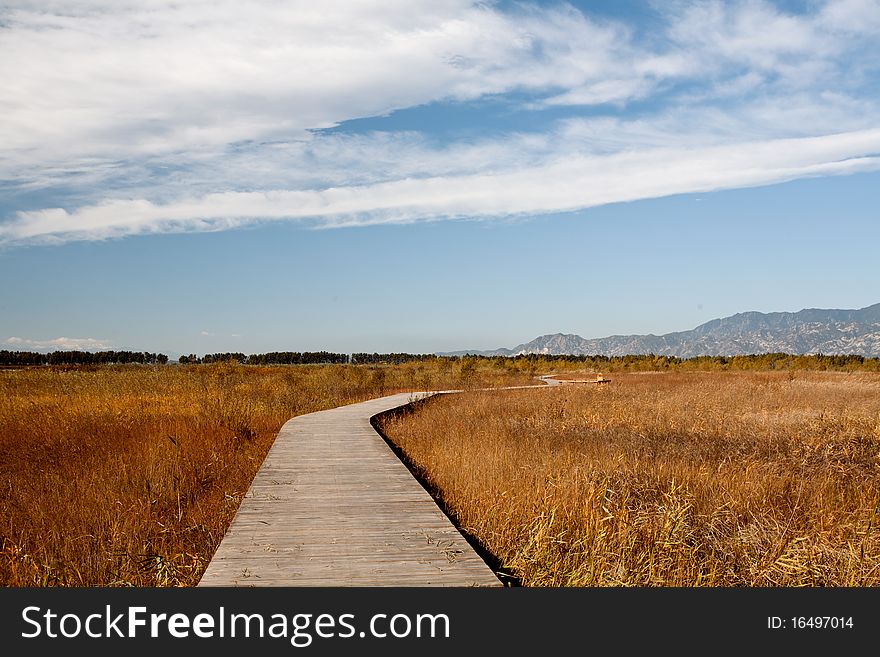 Blue Sky,white Cloud And Winding Road