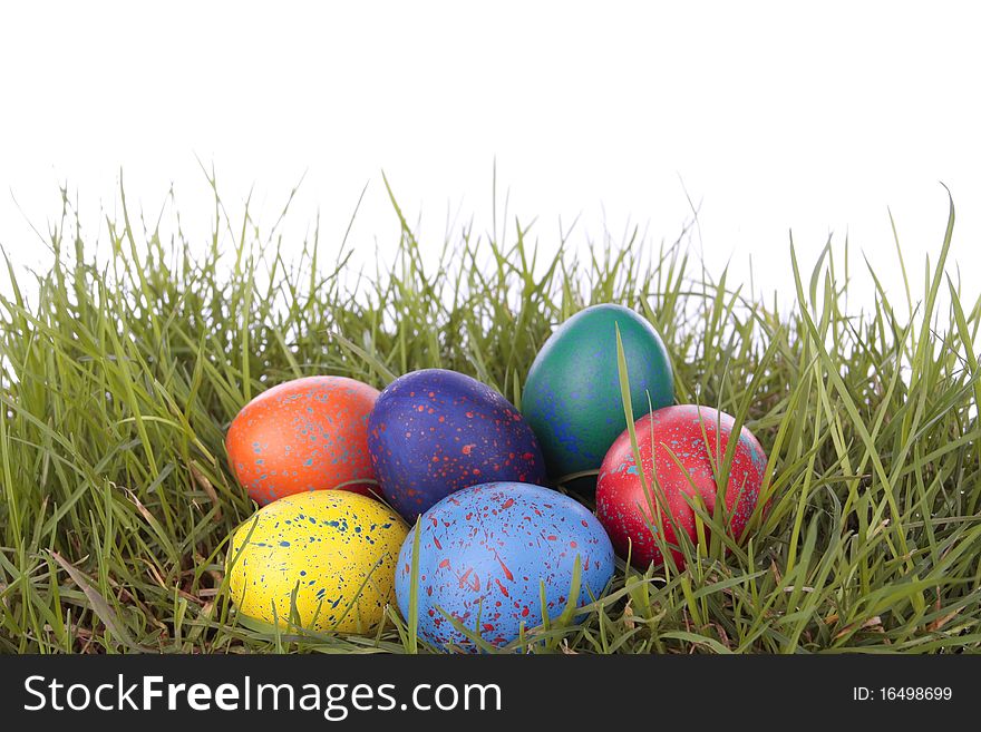 Colored easter  eggs on grass over white