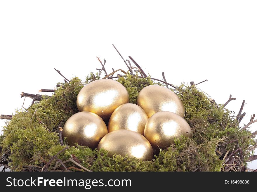 Golden eggs in bird nest over white background