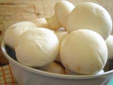 Mushrooms Royalty Free Stock Image Mushrooms Royalty Free Stock Image