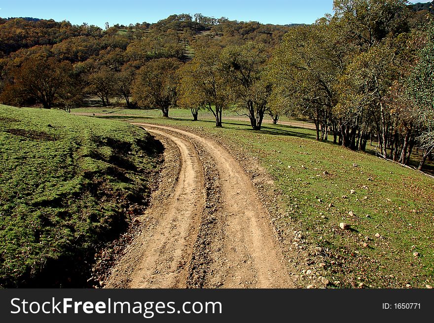 A dirt road through the beautiful Napa Valley, Calif. A dirt road through the beautiful Napa Valley, Calif