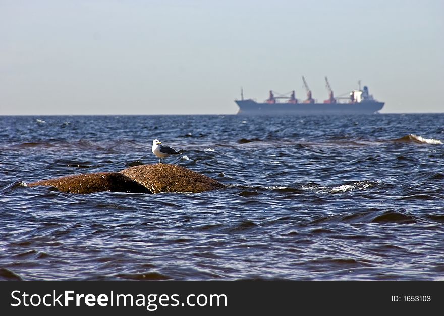 Marine view with a seagull