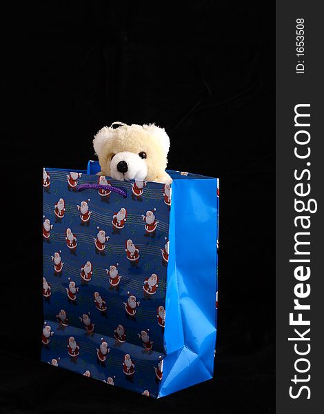 Bear in christmas bag