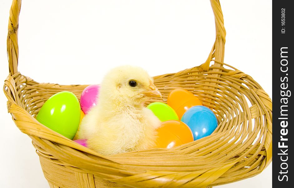 A baby yellow chick sits in a basket with a collection of colorful Easter eggs. A baby yellow chick sits in a basket with a collection of colorful Easter eggs.