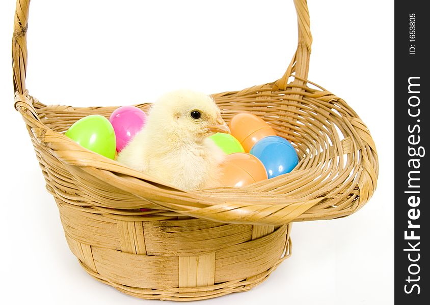 A baby yellow chick sits in a basket with a collection of colorful Easter eggs. A baby yellow chick sits in a basket with a collection of colorful Easter eggs.