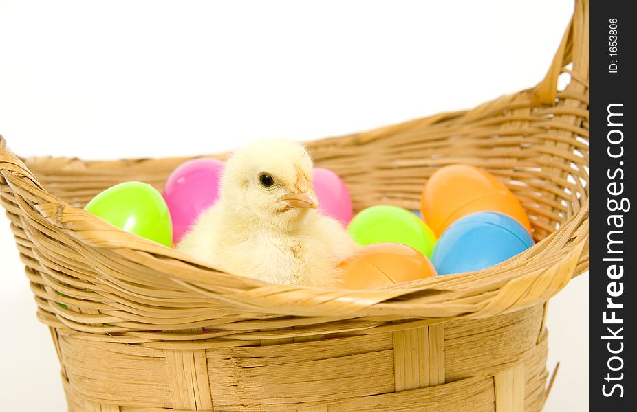 A baby yellow chick sits in a basket with a collection of colorful Easter eggs. A baby yellow chick sits in a basket with a collection of colorful Easter eggs.