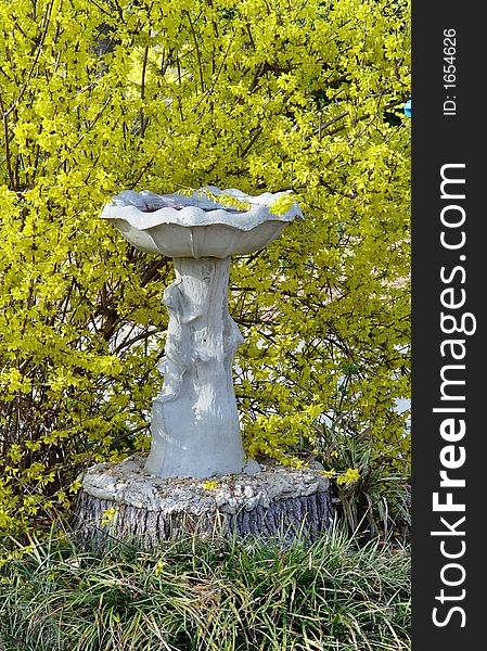 A stone bird bath surrounded by yellow flower buds. A stone bird bath surrounded by yellow flower buds.