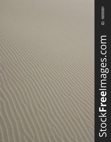 Sand ripples on the coastal dunes of Nehalem Bay State Park