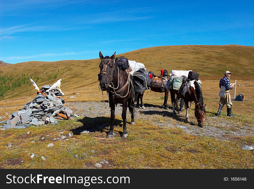 Horses, mountains and men. Altay. Russia.