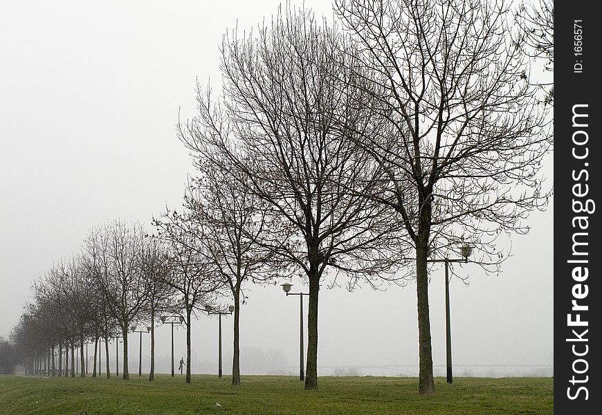 Promenade in autumn fogy day