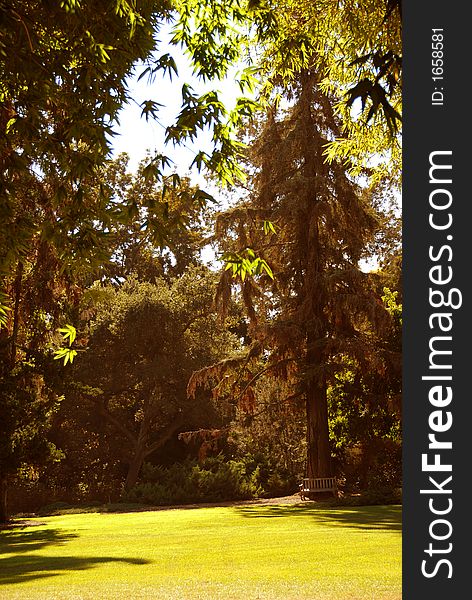 A banch near the pine-tree , beautiful meadow in fall calors