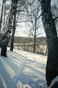 Snow Path Stock Photography