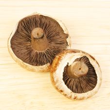 Portobello Mushrooms Stock Photos Portobello Mushrooms Stock Photos