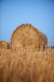 Rolls Of Hay Stock Photography Rolls Of Hay Stock Photography