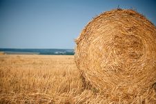 Rolls Of Hay Royalty Free Stock Images Rolls Of Hay Royalty Free Stock Images