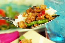 Fried Pork With Holy Basil Royalty Free Stock Images Fried Pork With Holy Basil Royalty Free Stock Images