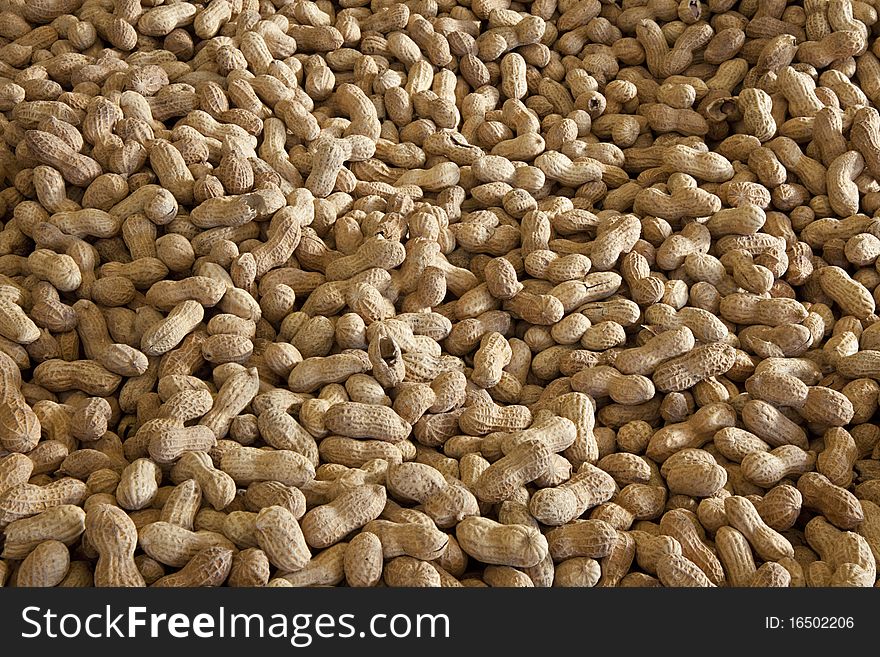 A bin of peanuts ready to be roasted