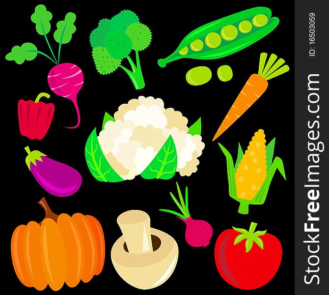 Set of vegetable illustration vector. Set of vegetable illustration vector