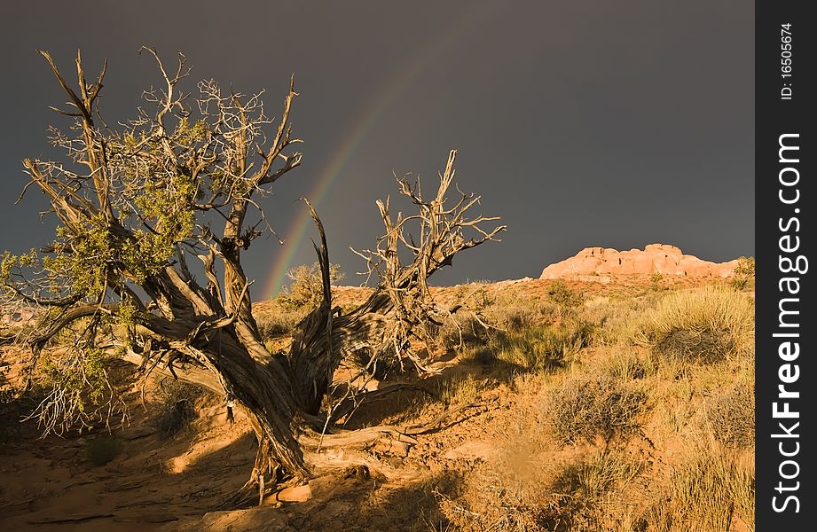 A rainbow appears after a rainstorm passes over the sandstone formations in Arches National Park near Moab Utah. A rainbow appears after a rainstorm passes over the sandstone formations in Arches National Park near Moab Utah.